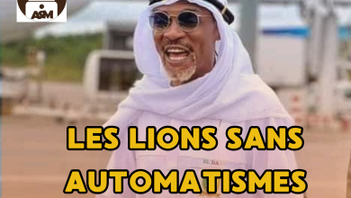 AMICAL : MEXIQUE vs CAMEROUN : LES LIONS SANS AUTOMATISMES.