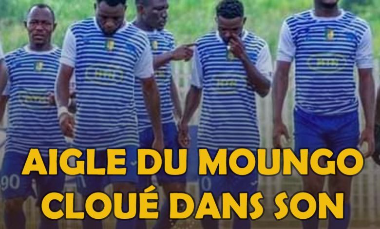 MTN ÉLITE TWO (J3) - Aigle du Moungo cloué dans son envol