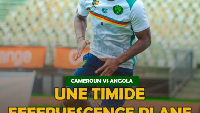 CAMEROUN VS ANGOLA : Une timide effervescence plane sur le Stade Ahmadou Ahidjo