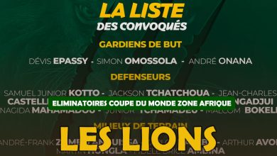 ELIMINATOIRES COUPE DU MONDE ZONE AFRIQUE : Les Lions convoqués…